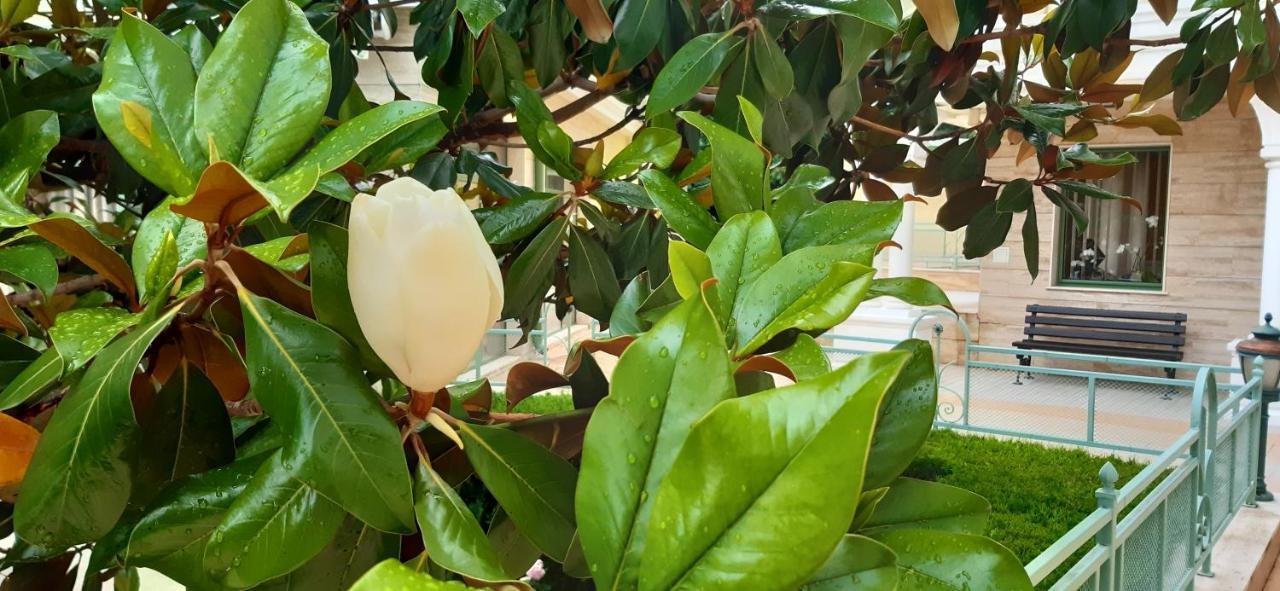Apartcomplex Splendid 산콘스탄틴앤헬레나 외부 사진